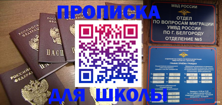 прописка гарантия в Козловке